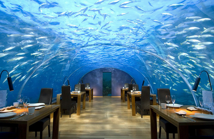 Cena cinco metros debajo del superficie Ithaa Undersea Restaurant Alif Dhaal Atoll Maldivas 1 - Ithaa Undersea Restaurant, Alif Dhaal Atoll, Maldivas.