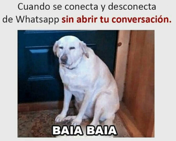 MEMES PERROS 12 - 10+ memes de perros para llorar de la risa! #LOL