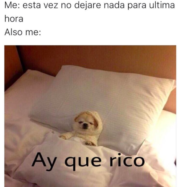 MEMES PERROS 9 - 10+ memes de perros para llorar de la risa! #LOL