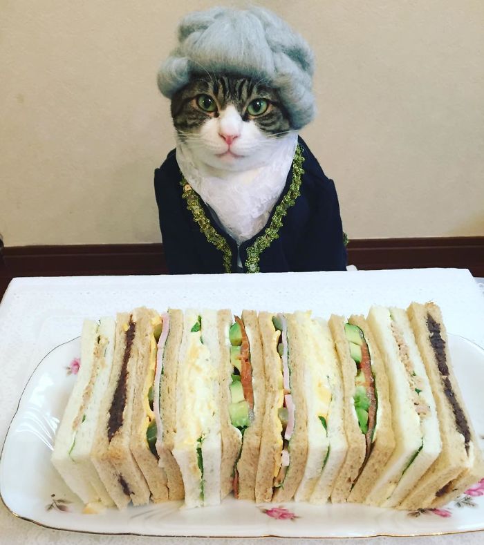 GATO DISFRAZDO CENA 29 - Este gato chef cena cada noche vistiendo un disfraz distinto #OMG