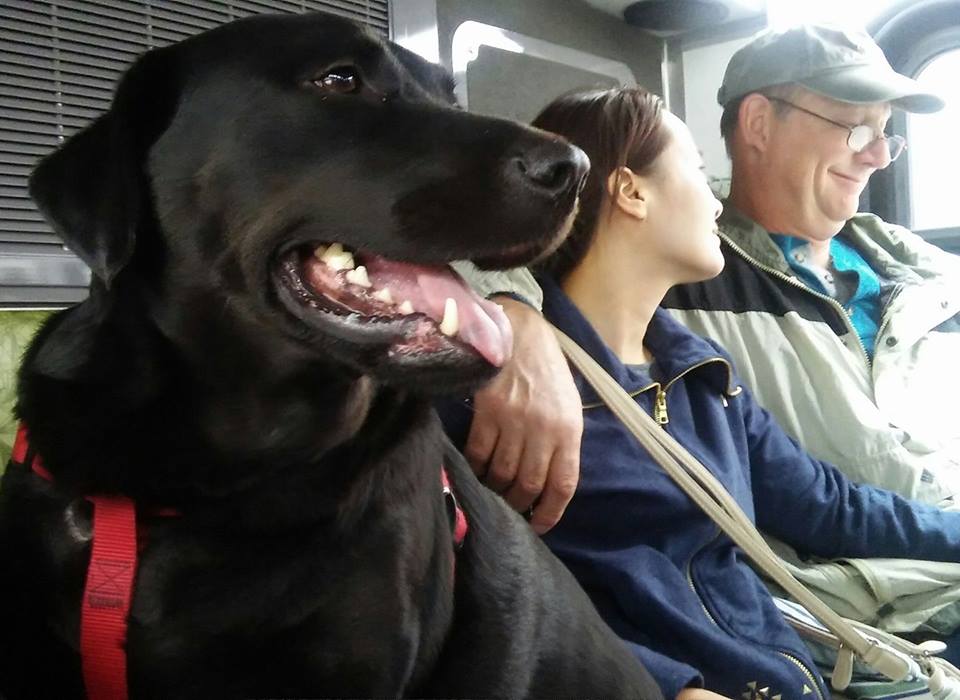 ECLIPSE EL PERRO QUE VA EN AUTOBUS 6 - Eclipse El perro que va en autobús!
