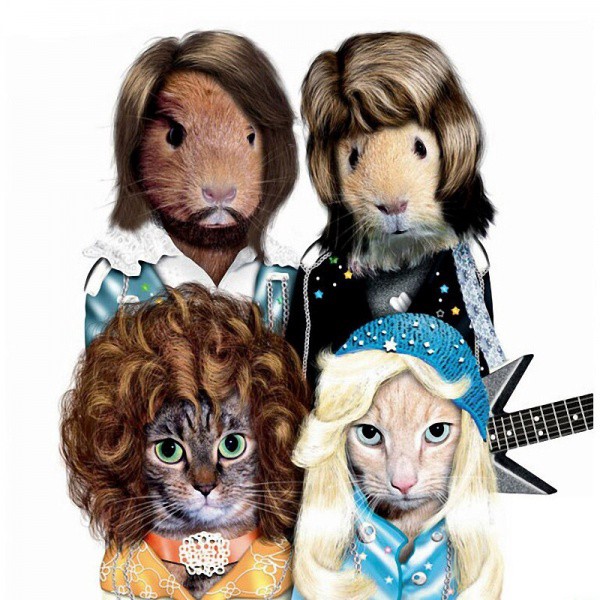 ABBA animales dalemedia 28 - Animales vestidos como personajes famosos!