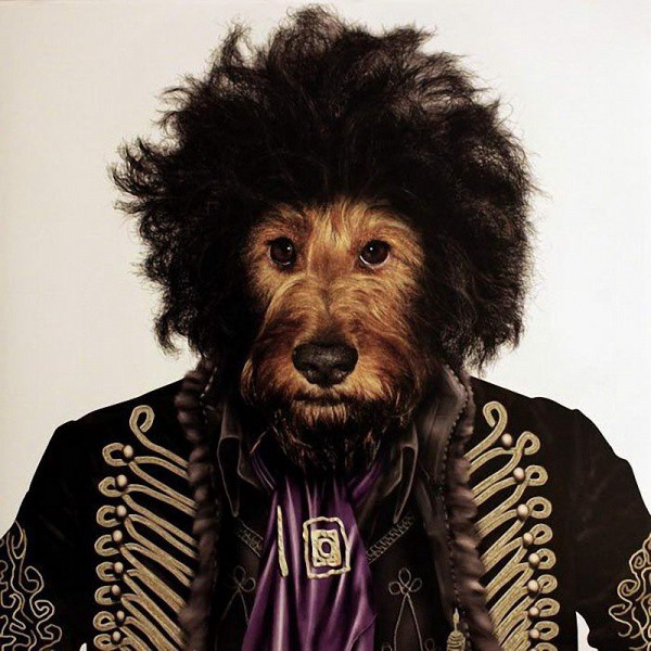 Jimi Hendrix animales dalemedia 6 - Animales vestidos como personajes famosos!