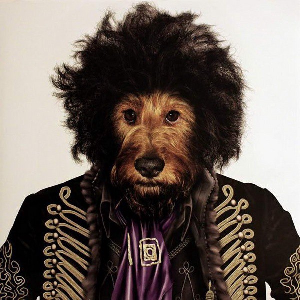 Jimi Hendrix animales dalemedia 6