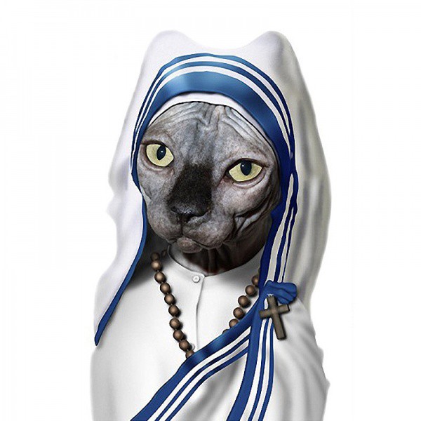 Madre Teresa de Calcuta - Animales vestidos como personajes famosos!