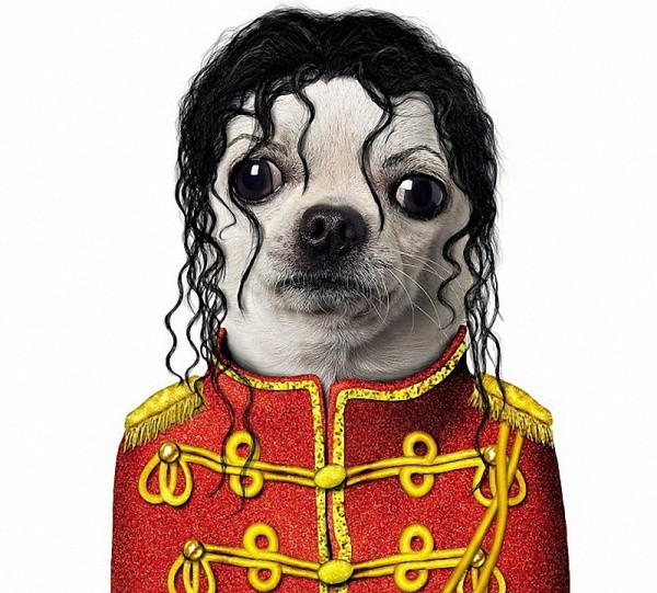 Michael Jackson animales dalemedia 21