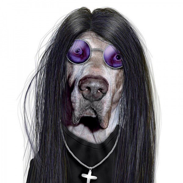 Ozzy Orbourne animales dalemedia 4 - Animales vestidos como personajes famosos!