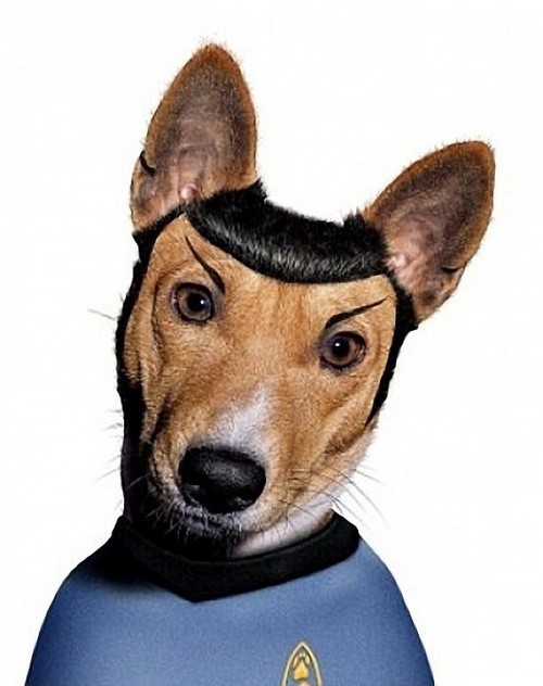 Spock animales dalemedia 3 - Animales vestidos como personajes famosos!