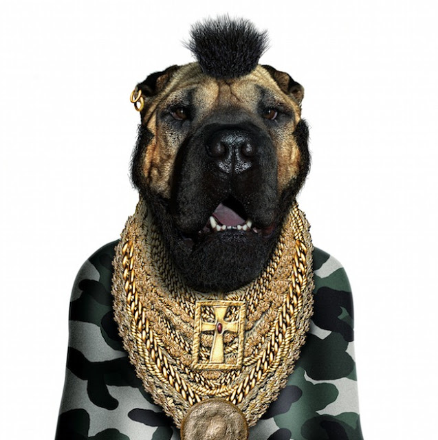 animals famous faces23 - Animales vestidos como personajes famosos!