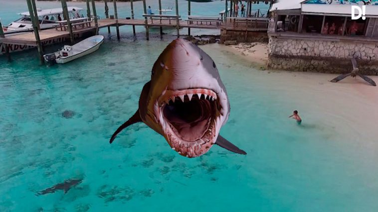 El VIDEO en que cuatro tiburones se aproximan a un chico en playa Dalemedia  758x426 - El VIDEO en que cuatro #tiburones se aproximan a un niño en una playa de Bahamas   #Viral