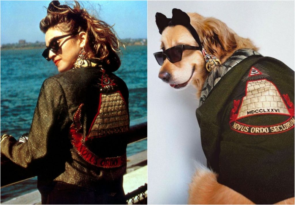 El perro sensacion por imitar a Madonna