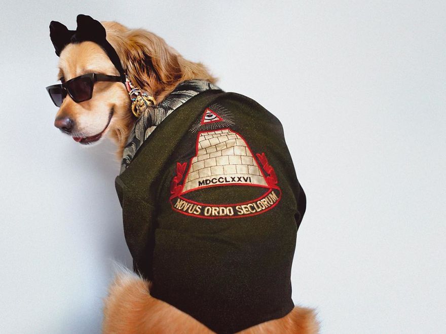 Perrito que imita a Maddona 8 - MAXDONNA, el perro que es sensación por imitar a Madonna.
