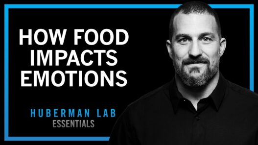 How food Impacts your emotions dalenews  527x296 - How food Impacts your emotions