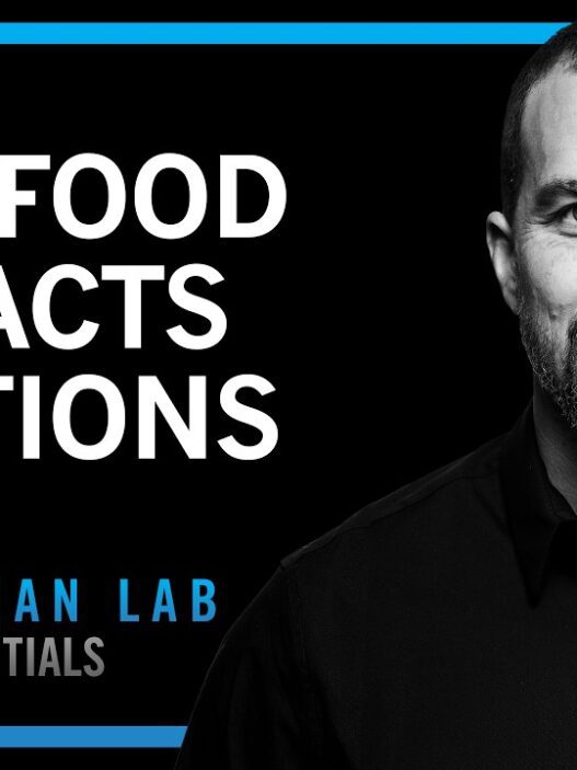 How food Impacts your emotions How food Impacts your emotions dalenews 527x703 - How food Impacts your emotions