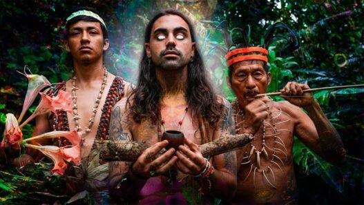 Tres dias tomando AYAHUASCA Dalenews 527x297 - TRES días tomando AYAHUASCA con un CHAMÁN 🍃
